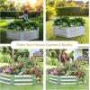 Sunnydaze 11.75″ H Raised Metal Garden Bed – Galvanized Raised Garden Bed Outdoor for Vegetables and Flowers – Silver – Hexagon