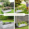 Sunnydaze 11.75″ H Raised Metal Garden Bed – Galvanized Raised Garden Bed Outdoor for Vegetables and Flowers – Woodgrain – 4′ x 2′ Silver