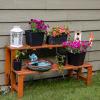 Sunnydaze 2-Tier Meranti Outdoor Wood Plant Stand – Indoor Plant Bench with Teak Oil Finish – 24-Inch