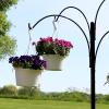 Sunnydaze 4-Arm Hanging Basket Plant Stand with Adjustable Arms – Black – 84″