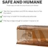 Sunnydaze Humane Mouse Trap – Indoor for Home – Outdoor Mouse Traps – Child and Pet Safe – Reusable – 2-Pack(2)
