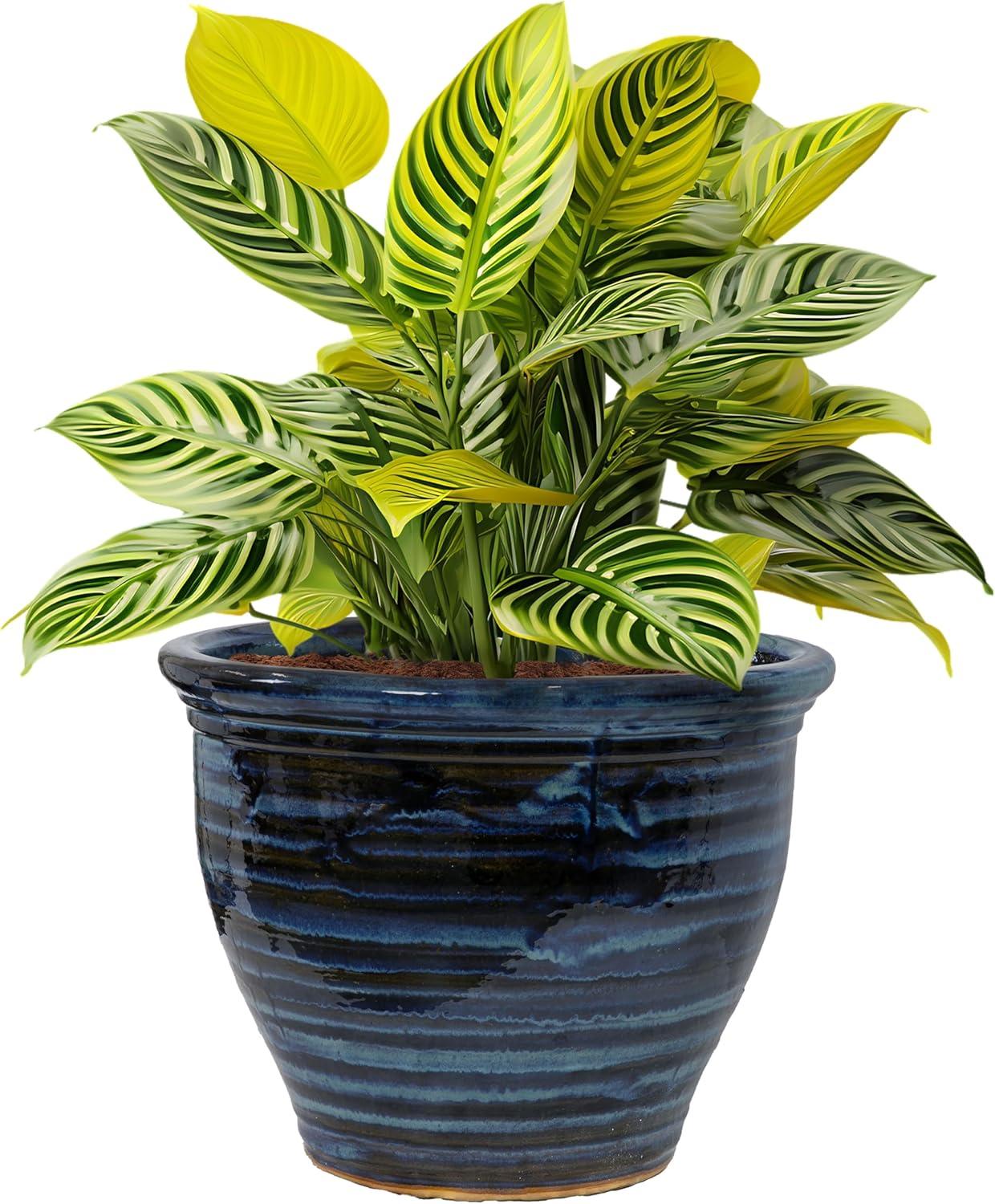 imageSunnydaze Large Ceramic Plant Pot Round Outdoor Glazed Ceramic Planter Pot with Drainage Studio Imperial Blue 185quotGalaxy Blue