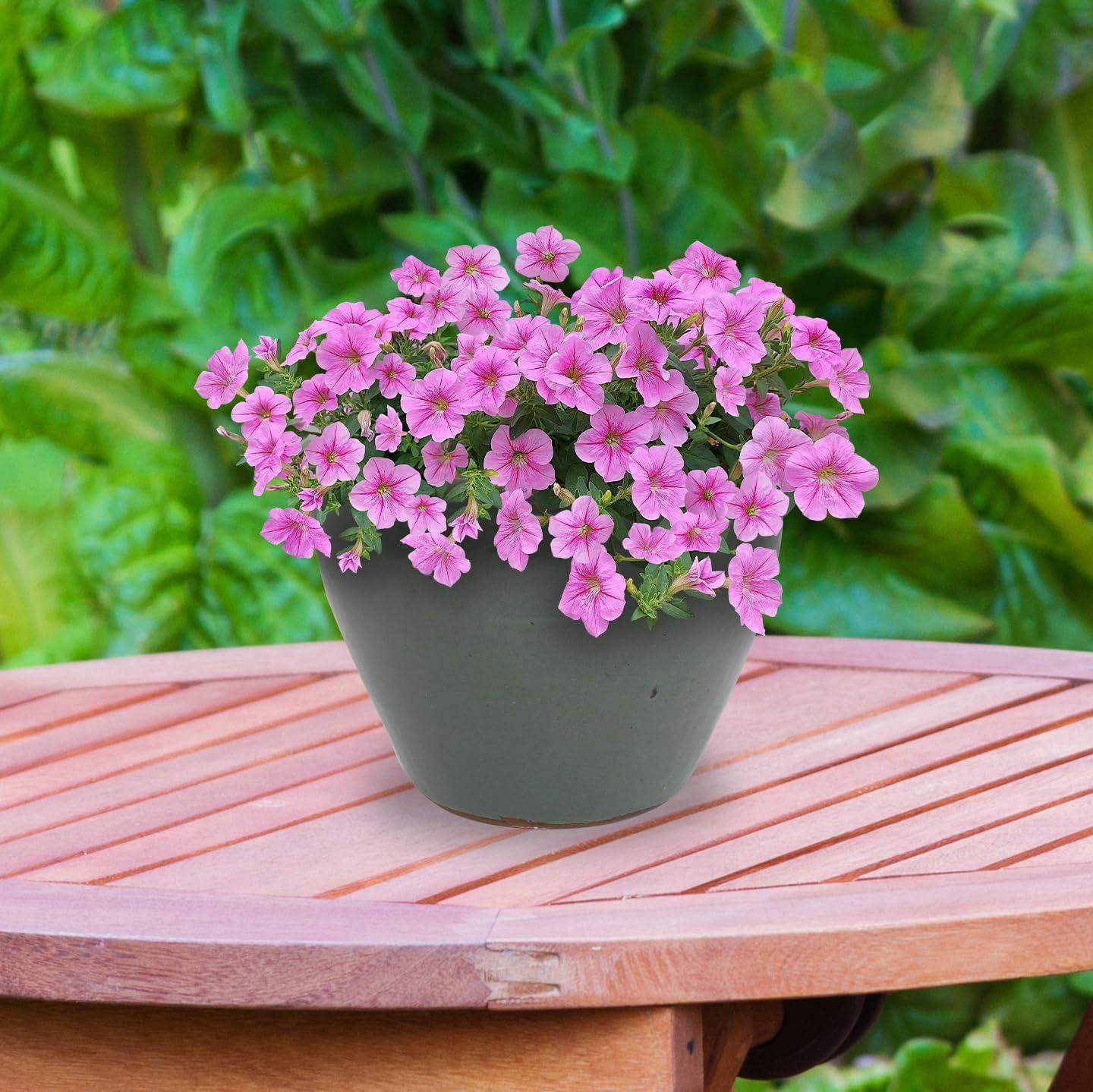 imageSunnydaze Large Ceramic Plant Pot Round Outdoor Glazed Ceramic Planter Pot with Drainage Studio Imperial Blue 185quotGray