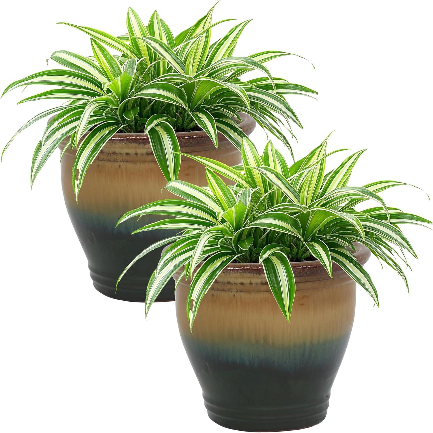 imageSunnydaze Round Ceramic Planter Set of 2 Indoor or Outdoor Plant Pots with Drainage Hole Chalet 12quot Imperial Blue GlazeForest Lake Green