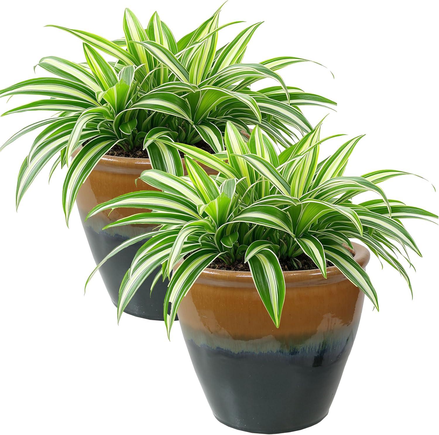 imageSunnydaze Round Ceramic Planter Set of 2 Indoor or Outdoor Plant Pots with Drainage Hole Chalet 12quot Imperial Blue GlazeForest Lake Green