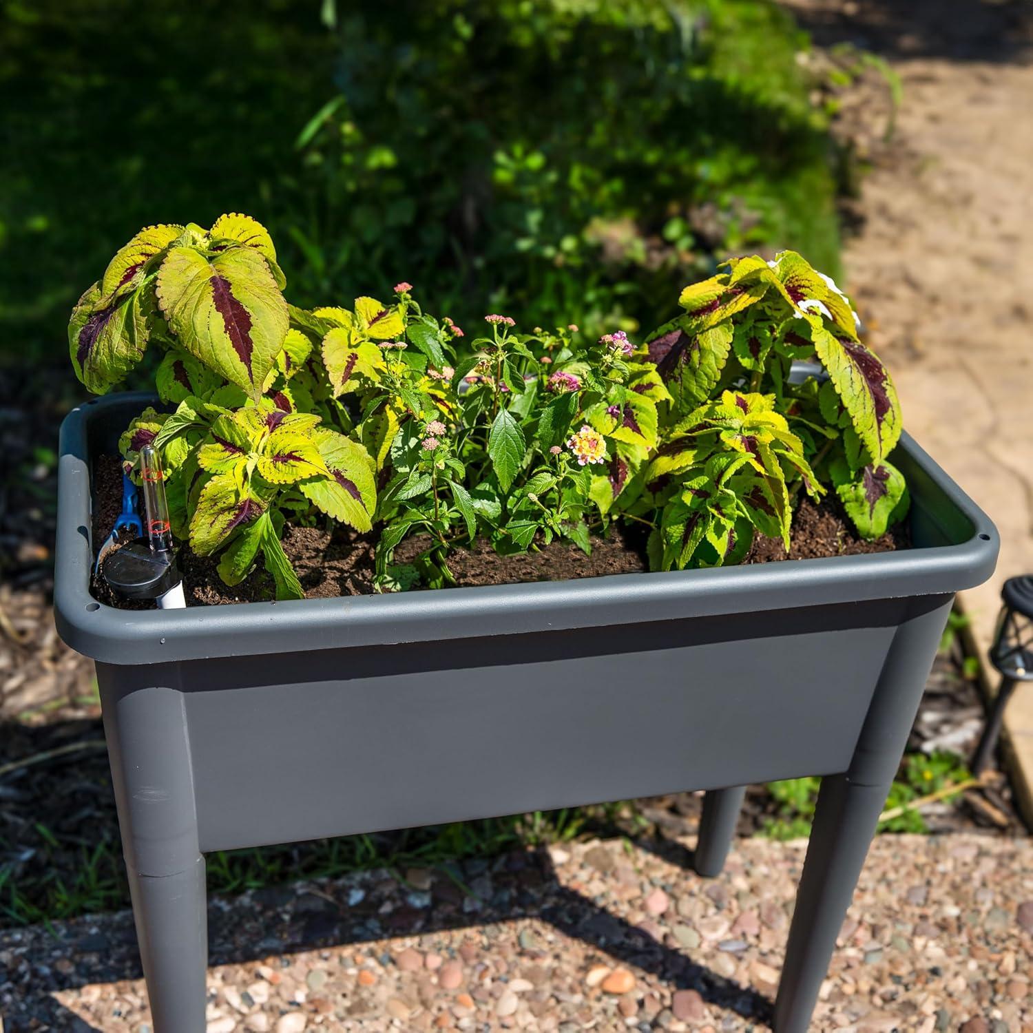 imageSunnydaze SelfWatering Raised Garden Bed with Cover Includes Water Tube Polypropylene Construction Gray
