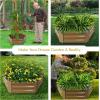 Sunnydaze 11.75″ H Raised Metal Garden Bed – Galvanized Raised Garden Bed Outdoor for Vegetables and Flowers – Brown – Hexagon