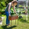 Sunnydaze Slatted Acacia Wood Raised Garden Bed with Legs – Oil-Stained Finish – Powder-Coated Steel Frame – Removable Insert – 23.5-Inch H