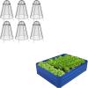 Sunnydaze 48″ W x 36″ D x 12″ H Blue Galvanized Raised Garden Bed and 6-Pack Chicken Wire Plant Protector Cages