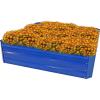 Sunnydaze Galvanized Raised Garden Bed – Metal Raised Bed for Gardening – Outdoor Planter Box for Flowers, Plants, and Vegetables – Blue – 12” H Square