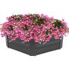 Sunnydaze Galvanized Raised Garden Bed – Metal Raised Bed for Gardening – Outdoor Planter Box for Flowers, Plants, and Vegetables – Gray – 12.25″ Hexagon
