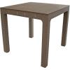 Sunnydaze Plastic Square Patio Table with Umbrella Hole – Faux Woodgrain Top – Indoor or Outdoor Use – Champagne – 29.5″ H