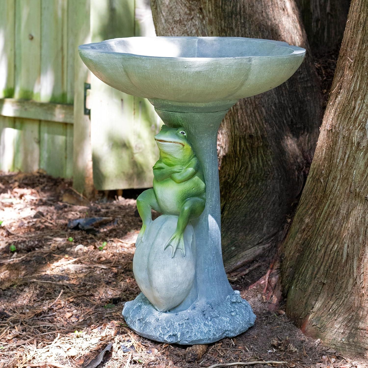 imageSunnydaze Brooding Frog on a Stone 22quot H Polyresin Outdoor Bird Bath for Garden