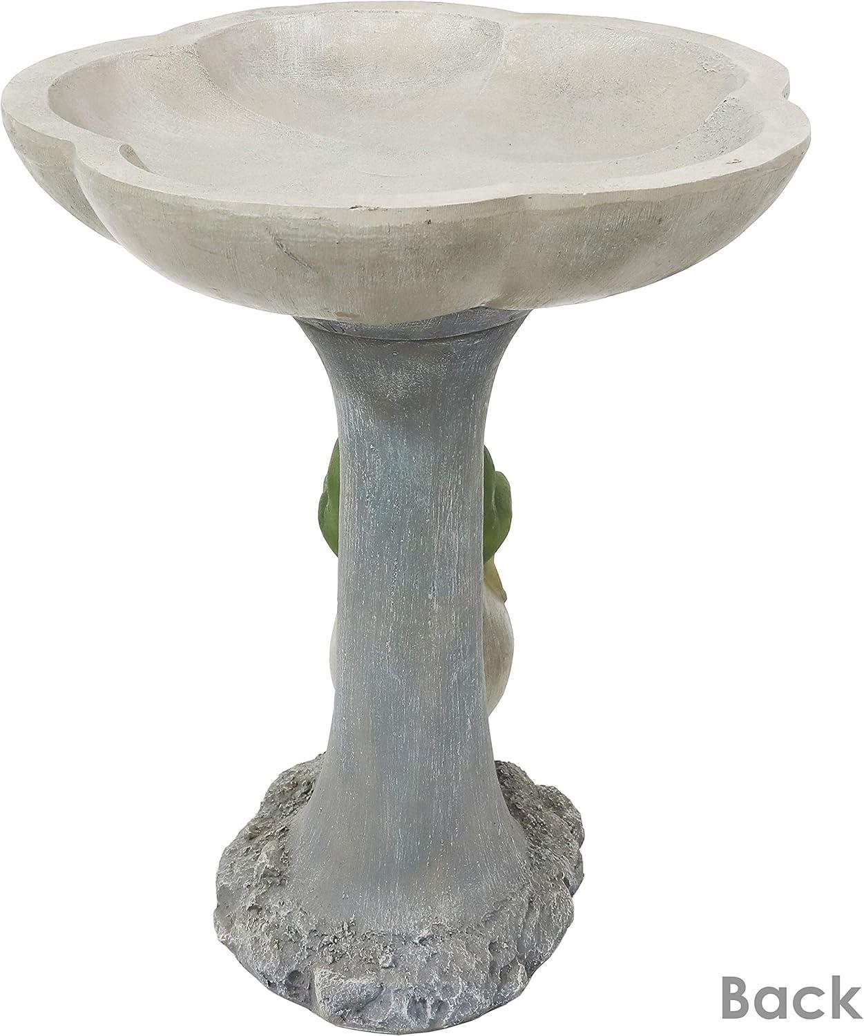 imageSunnydaze Brooding Frog on a Stone 22quot H Polyresin Outdoor Bird Bath for Garden