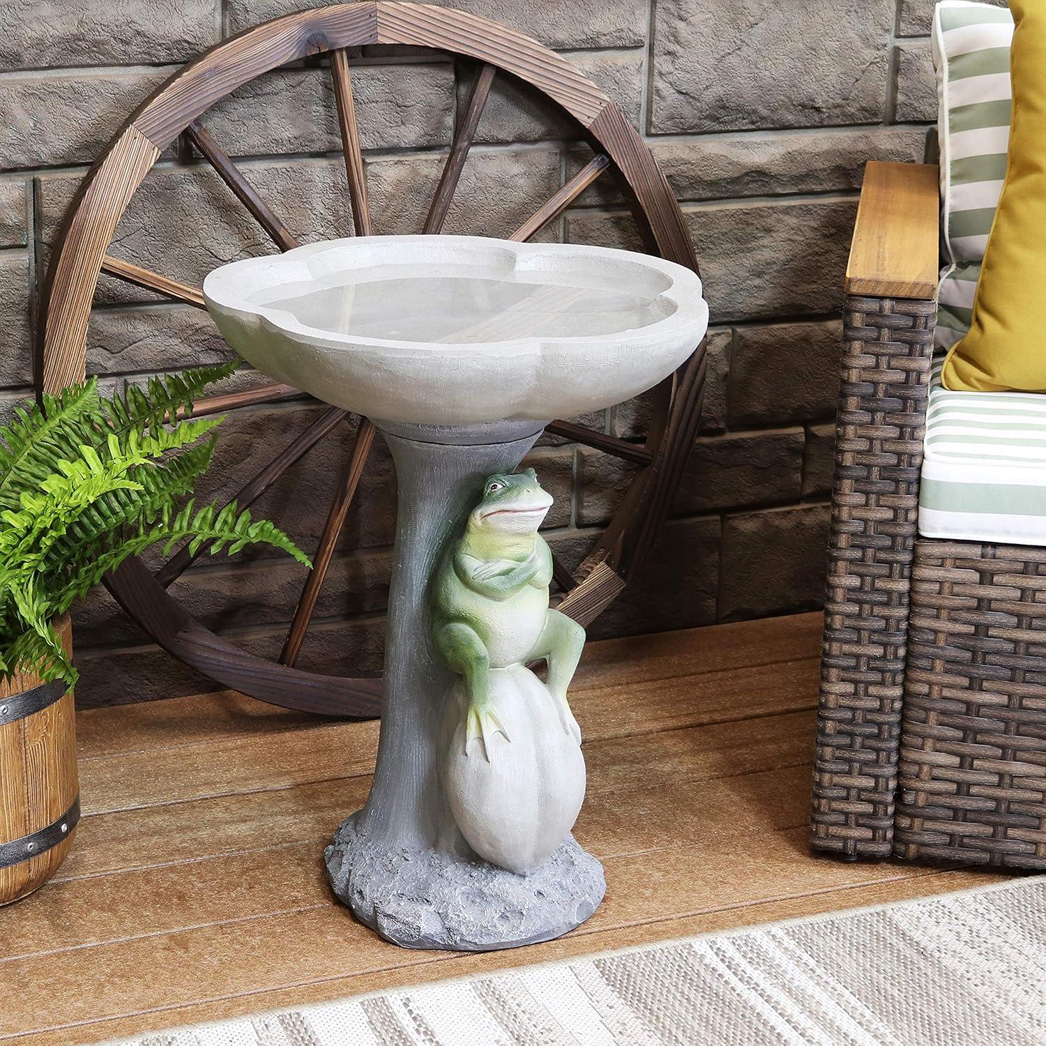 imageSunnydaze Brooding Frog on a Stone 22quot H Polyresin Outdoor Bird Bath for Garden