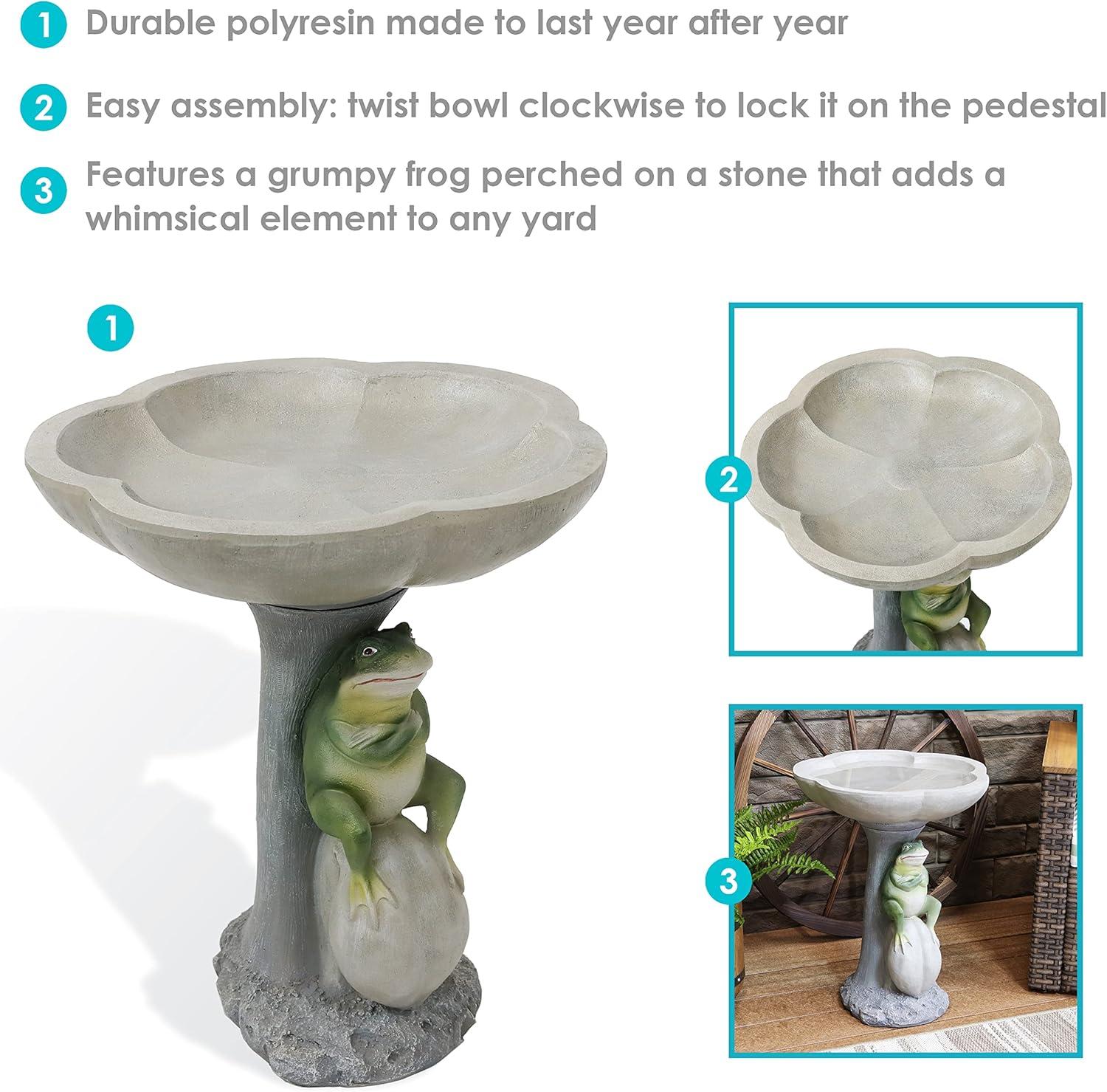 imageSunnydaze Brooding Frog on a Stone 22quot H Polyresin Outdoor Bird Bath for Garden
