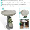 Sunnydaze Brooding Frog on a Stone 22″ H Polyresin Outdoor Bird Bath for Garden