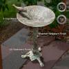 Sunnydaze Ivy and Sage Cast Aluminum Metal Bird Bath with UV-Resistant Finish – Rustic Patina – 12.25″