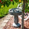 Sunnydaze Resin Bird Bath with Feeder Compartment – Traditional Pedestal Bird Bath – 27″ H – Gray