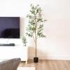 Sunnydaze Fake Olive Tree – 6ft Tall Faux Olive Tree with Pot – Indoor Artificial Plant with Black Weighted Base and Silk Leaves(1)