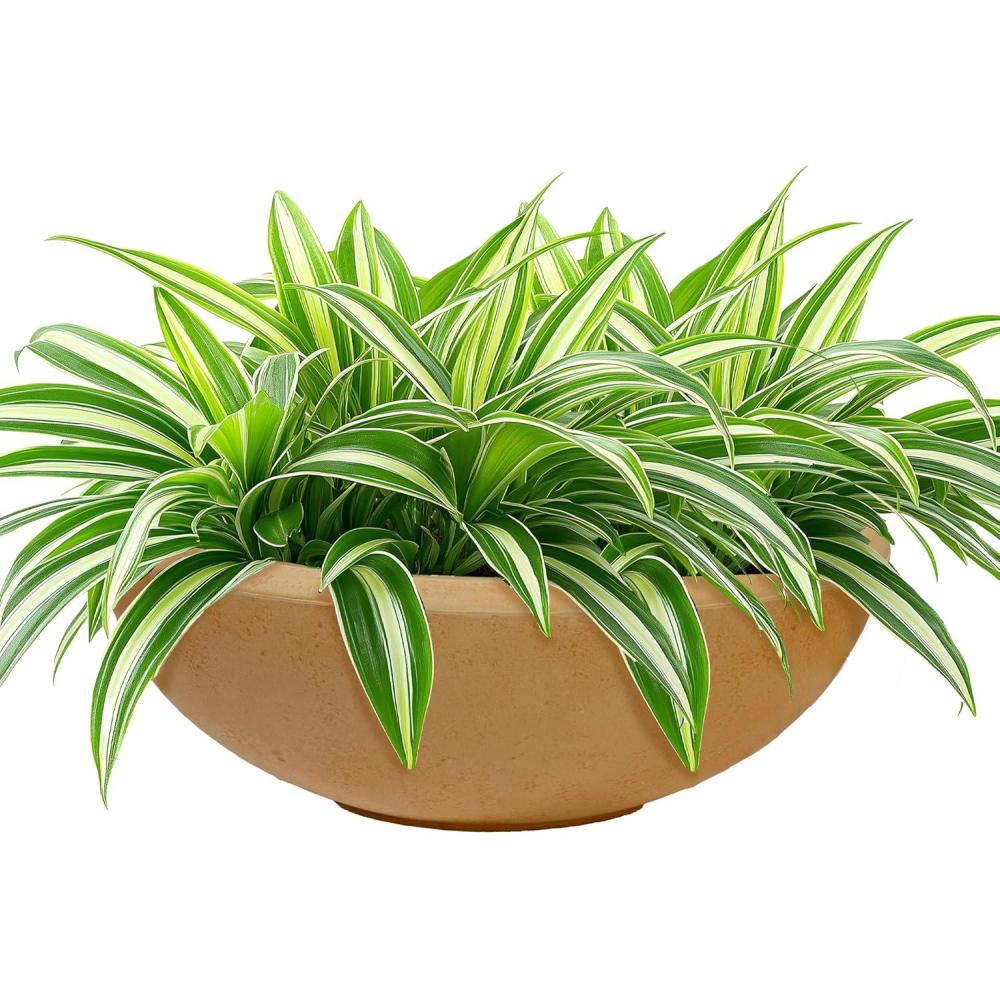 imageSunnydaze Percival 2075quot Shallow Outdoor Planter Bowl for Flowers and Succulents  Polyresin DoubleWalled Design  SableSand