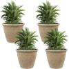 Sunnydaze 24-Inch Anjelica Large Plastic Pot for Plants – Double-Walled Outdoor Polyresin Round Planter Porch Pot with Drillable Drainage Holes – Beige – 2pk(Beige)
