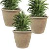 Sunnydaze 24-Inch Anjelica Large Plastic Pot for Plants – Double-Walled Outdoor Polyresin Round Planter Porch Pot with Drillable Drainage Holes – Beige – 2pk(Beige)