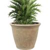 Sunnydaze 24-Inch Anjelica Large Plastic Pot for Plants – Double-Walled Outdoor Polyresin Round Planter Porch Pot with Drillable Drainage Holes – Beige – 2pk(Beige)