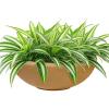 Sunnydaze Percival 20.75″ Shallow Outdoor Planter Bowl for Flowers and Succulents – Polyresin Double-Walled Design – Sable(Sand)