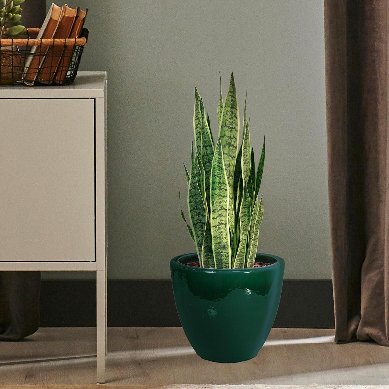 image:imageSunnydaze Large Ceramic Plant Pot Round Outdoor Glazed Ceramic Planter Pot with Drainage Chalet Imperial Blue 145Dark Green