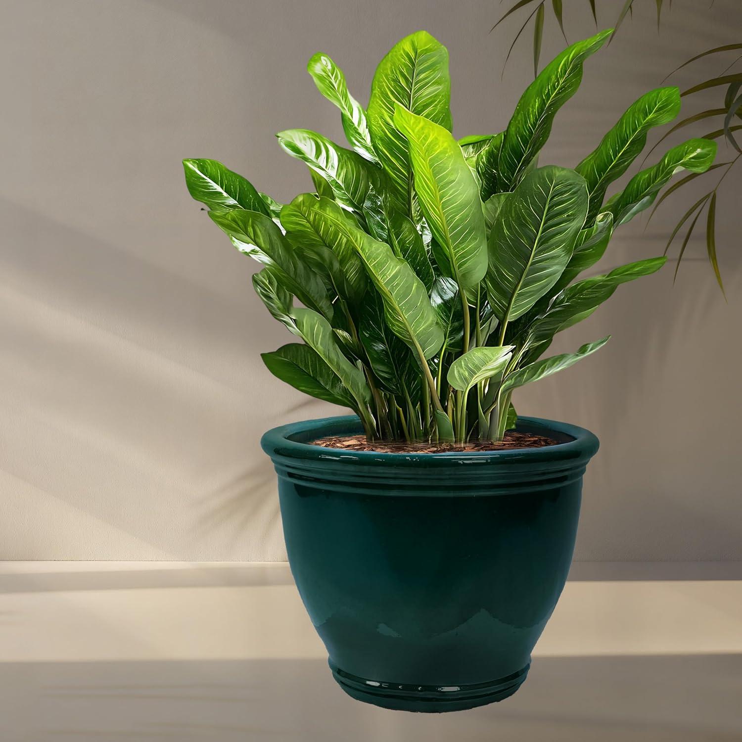 image:imageSunnydaze Large Ceramic Plant Pot Round Outdoor Glazed Ceramic Planter Pot with Drainage Chalet Imperial Blue 145Dark Green