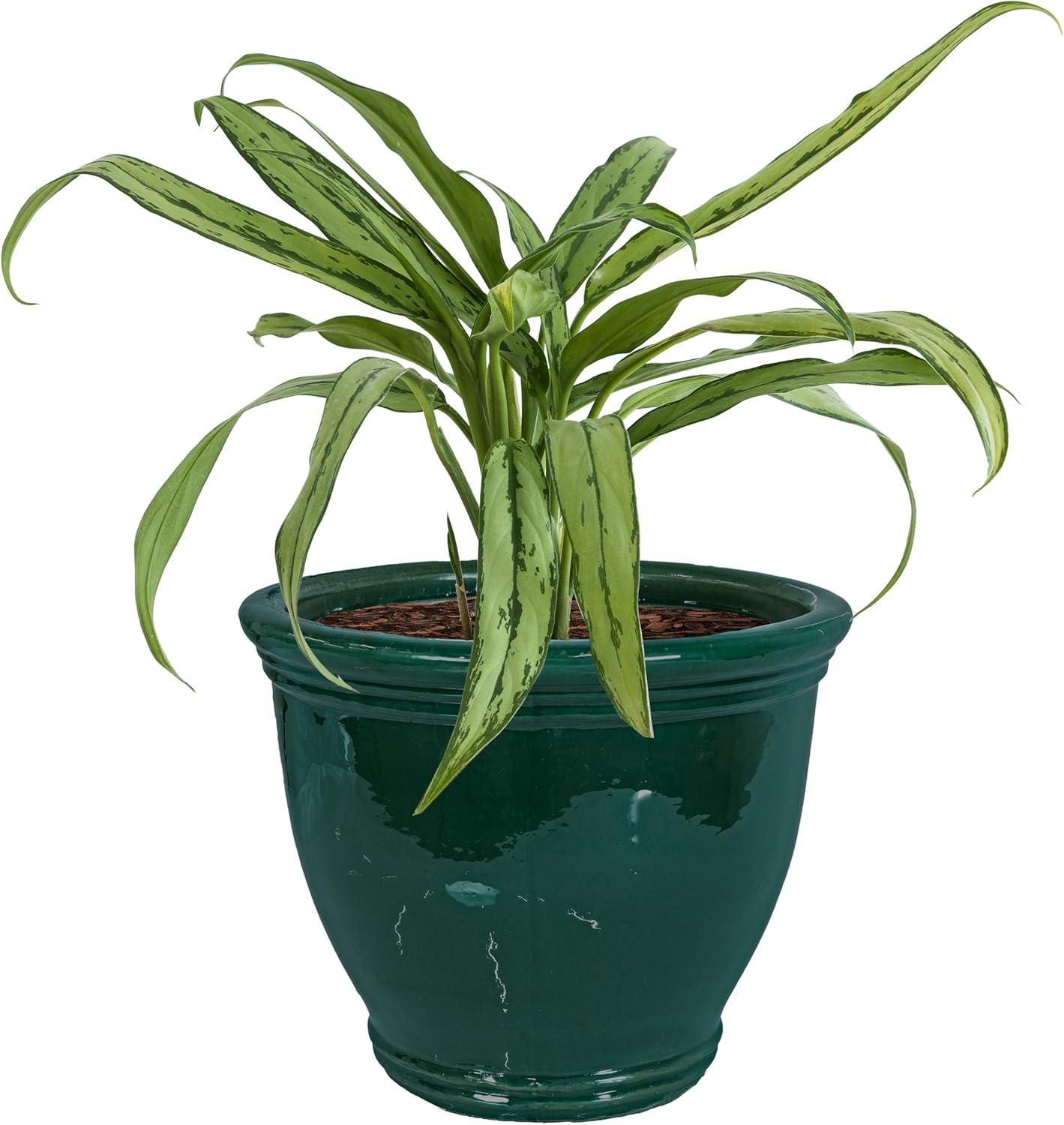 image:imageSunnydaze Large Ceramic Plant Pot Round Outdoor Glazed Ceramic Planter Pot with Drainage Chalet Imperial Blue 145Dark Green