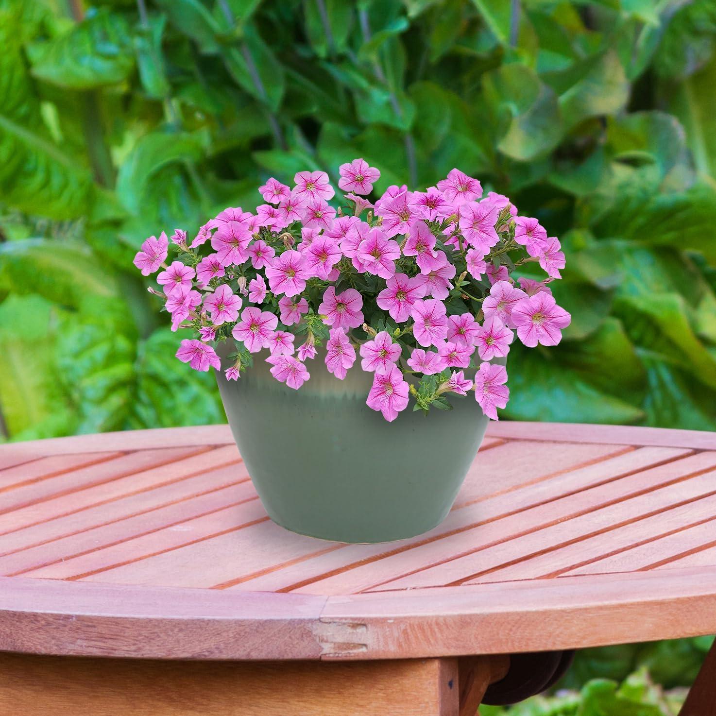 image:imageSunnydaze Large Ceramic Plant Pot Round Outdoor Glazed Ceramic Planter Pot with Drainage Chalet Imperial Blue 145Seafoam