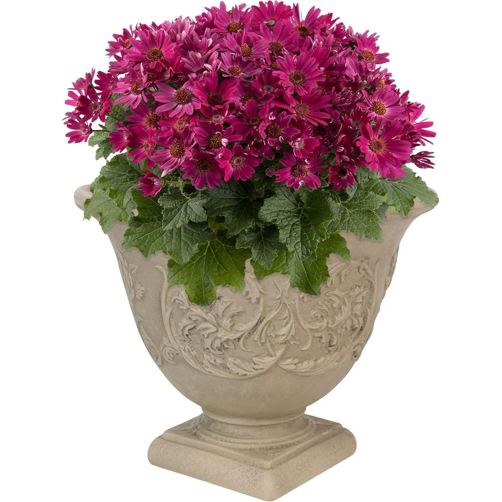 image:imageSunnydaze 16Inch Darcy Round Plant Pot Polyresin Large Outdoor Urn Planter with Drillable Drainage Hole 2 Pack Beige1