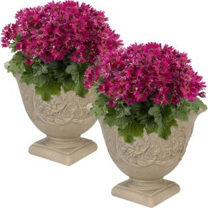 Sunnydaze 16-Inch Darcy Round Plant Pot – Polyresin Large Outdoor Urn Planter with Drillable Drainage Hole – 2 Pack – Beige(2)