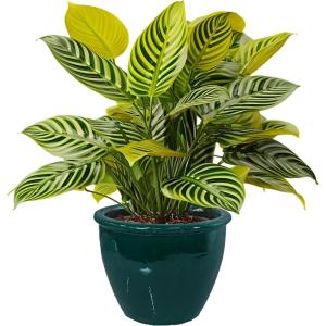 Sunnydaze Large Ceramic Plant Pot – Round Outdoor Glazed Ceramic Planter Pot with Drainage – Chalet – Imperial Blue – 14.5″(Dark Green)
