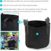 Sunnydaze 1-Pack of 7-Gallon Garden Grow Bags for Vegetables – 300 GSM Non-Woven Polypropylene Felt Fabric Flower Pots and Planters with Handles – Single Gardening Container(2 gal)
