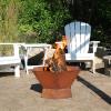 Sunnydaze Rustic Affinity 24-Inch Fire Pit – Outdoor Wood-Burning Fire Pit with Oxidized Finish – Hexagon-Shaped