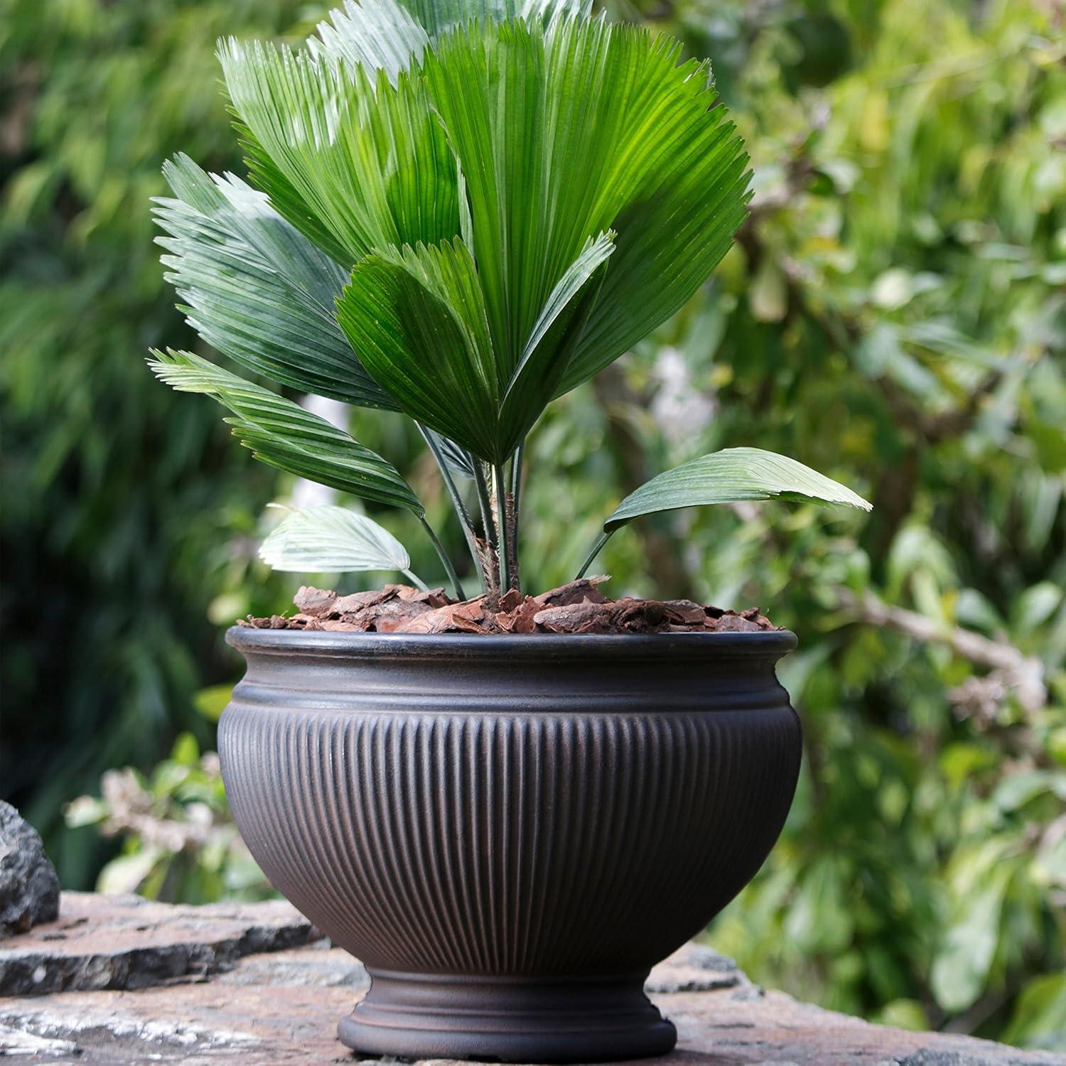 image:imageSunnydaze Elizabeth 16 DoubleWalled Polyresin Ribbed Urn Outdoor Planter UVResistant Rust Finish Set of 2Rust
