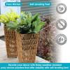 Sunnydaze Hyacinth 11″ Tall Square Outdoor Planter – Set of 2 Poly-Wicker Planters with Plastic Inlay – Barley(Barley)