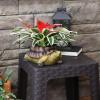 Sunnydaze Teddy The Turtle 11″ Polyresin Garden Planter for Indoor or Outdoor Use