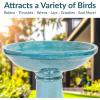 Sunnydaze Calais Ceramic Bird Bath for Outside – 25″ H – UV-/Frost-Resistant Tall Bird Bath – Jade Green Glaze Finish