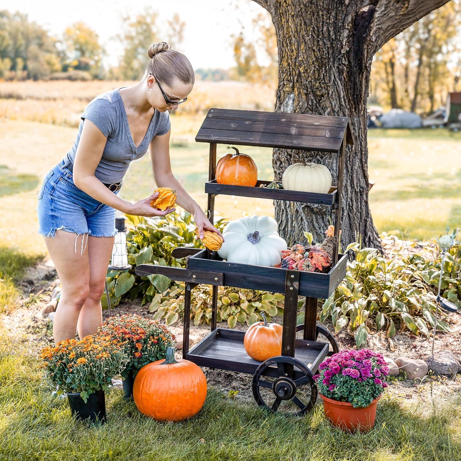 image:imageSunnydaze Country Market Flower Cart Display Stand with Wheels 2 Shelves Fir Wood 30 lb Weight Capacity Natural FirCharred Fir