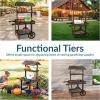 Sunnydaze Country Market Flower Cart Display Stand with Wheels – 2 Shelves – Fir Wood – 30 lb Weight Capacity – Natural Fir(Charred Fir)