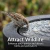 Sunnydaze Outdoor Water Fountain with LED Light – Polystone Oval Bowl Bubbler Water Feature with Pump – 12″ H – for Patio, Garden, Deck, Relaxation and Stress Relief – Black(Black)