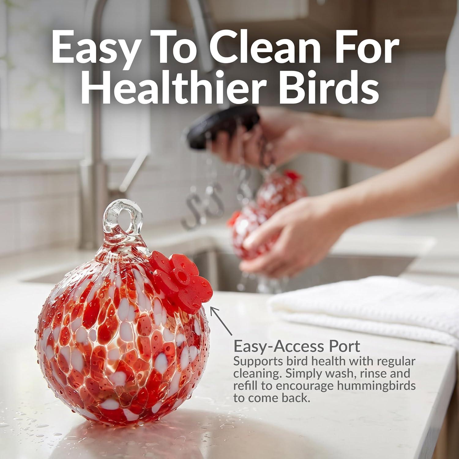 image:imageSunnydaze HandBlown Glass Hummingbird Feeder Balls Set of 6 Hanging Hummingbird Feeders with 6 Ports 30 oz Capacity Bee Proof Feeder for Outdoors Leak Proof and Easy to Clean