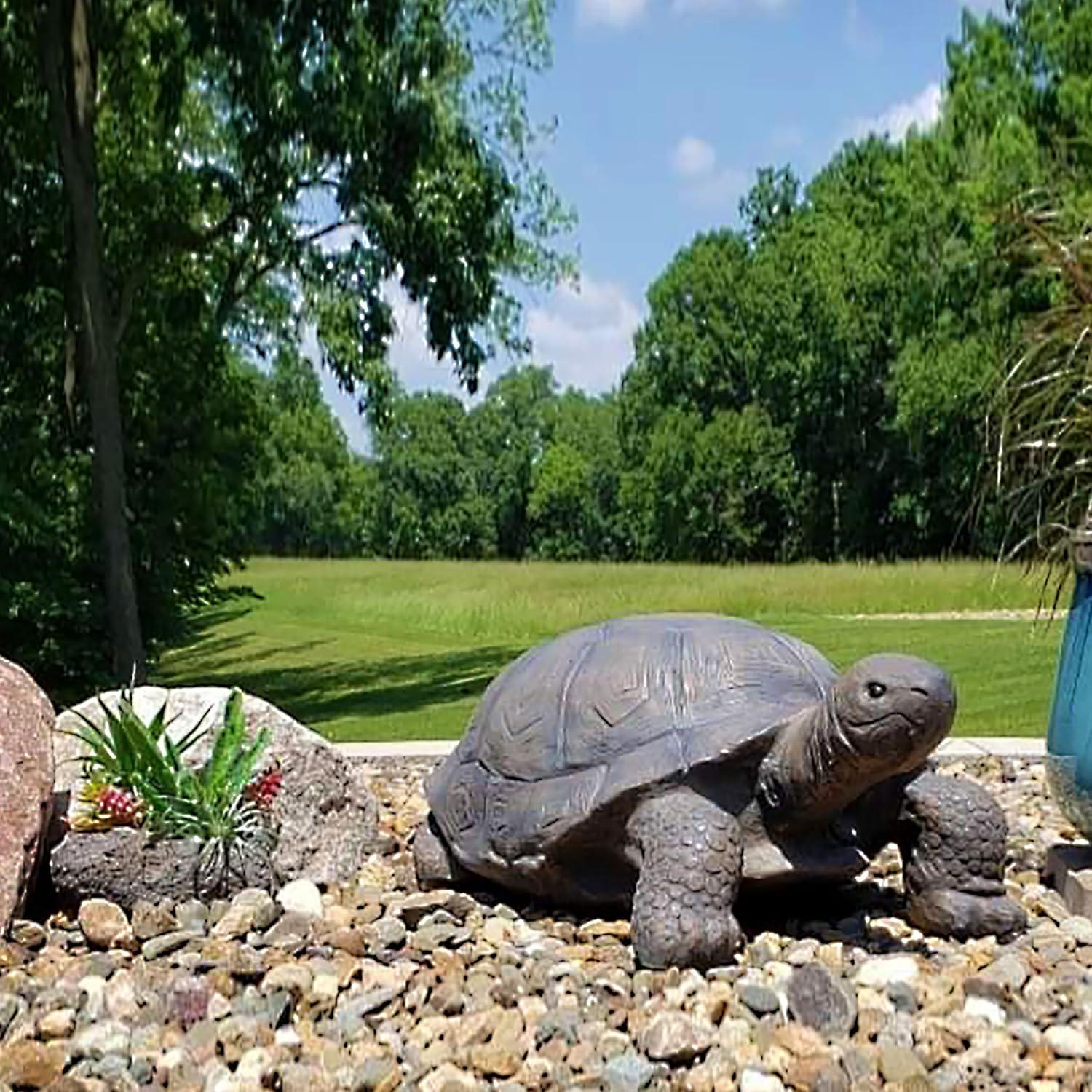 image:imageSunnydaze Tanya the Garden Turtle Statue Turtle Garden Decor for Yard Lawn Patio Dcor 20 x 12 Durable PolyConcrete Gift IdeaTodd 30 in