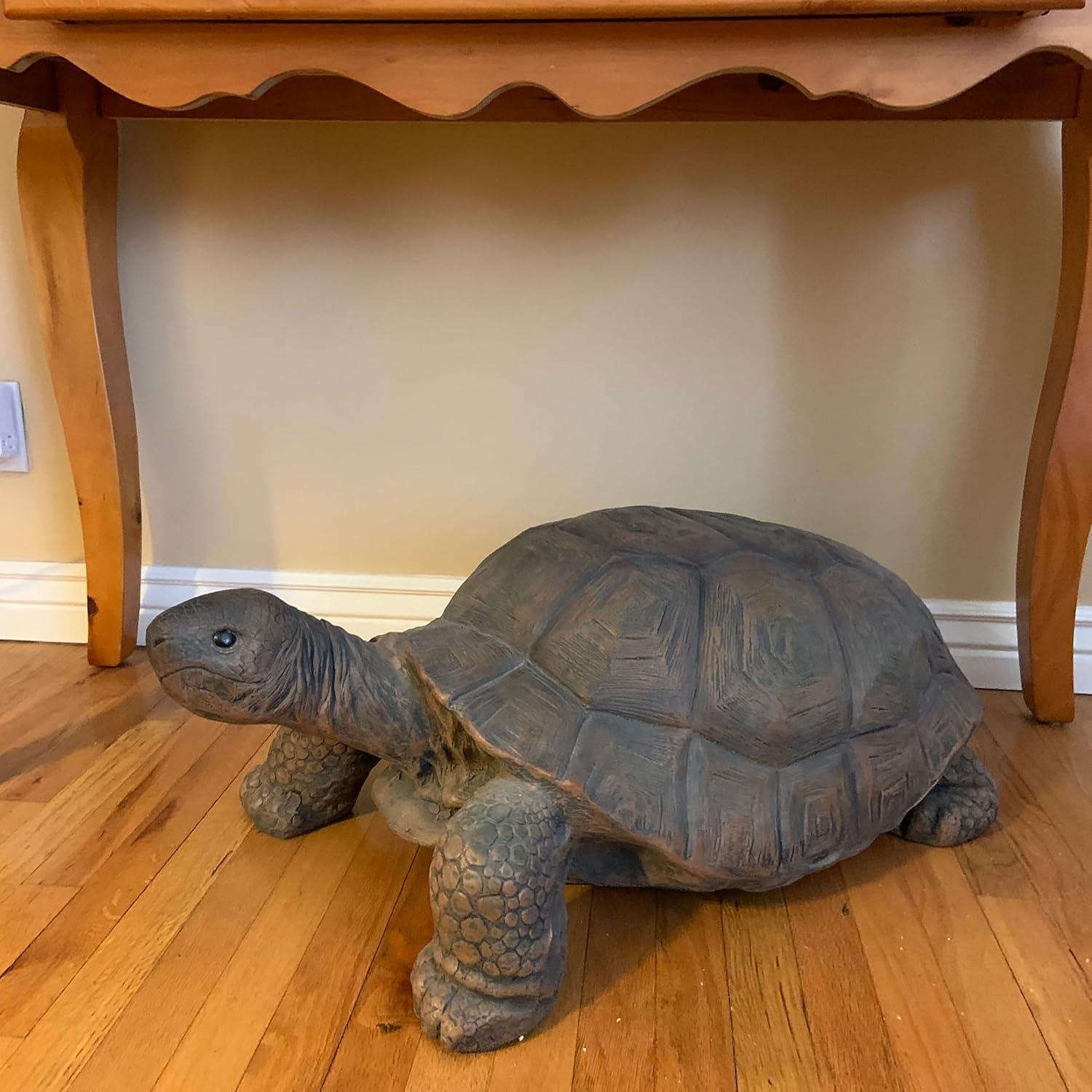 image:imageSunnydaze Tanya the Garden Turtle Statue Turtle Garden Decor for Yard Lawn Patio Dcor 20 x 12 Durable PolyConcrete Gift IdeaTodd 30 in