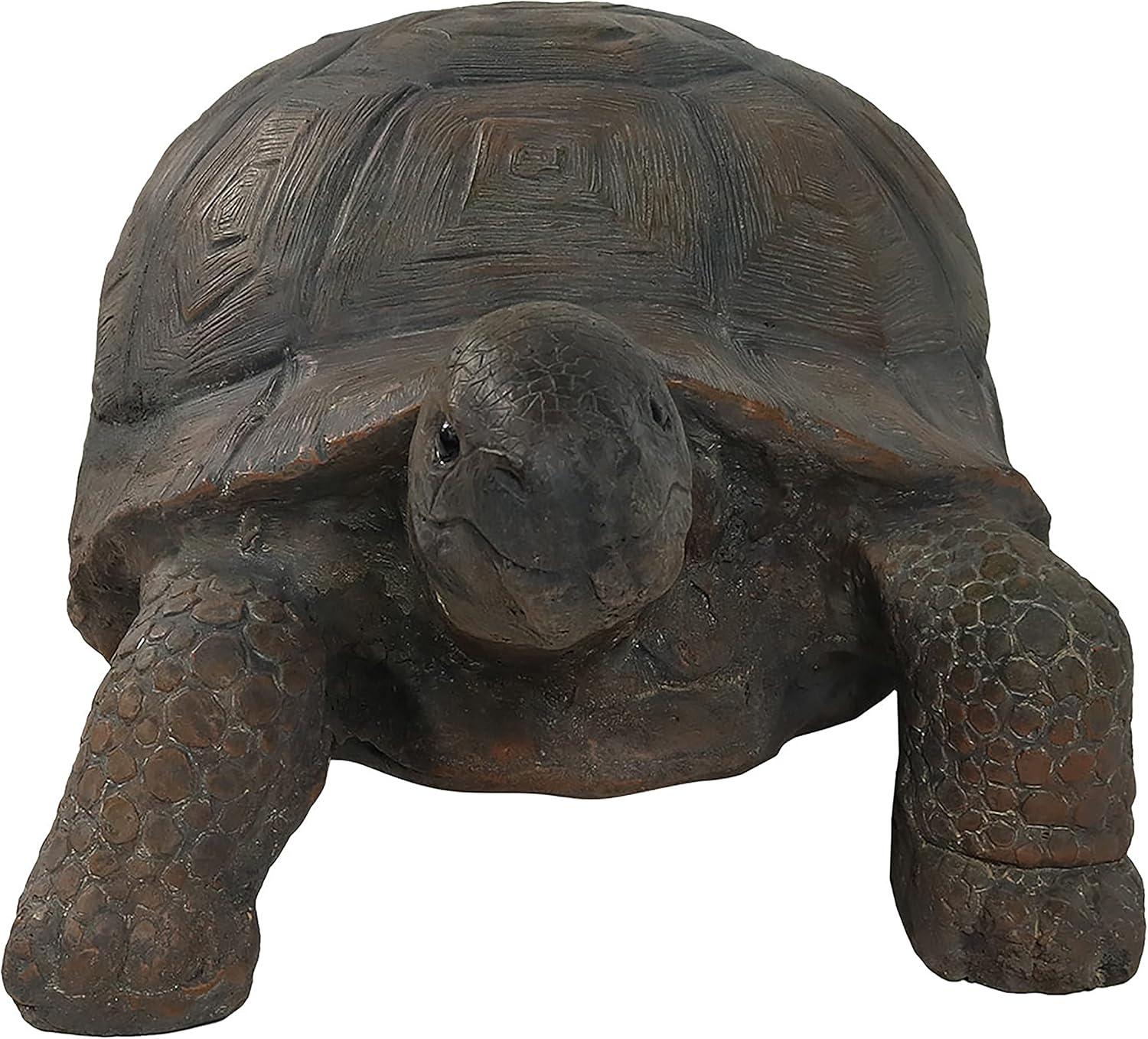 image:imageSunnydaze Tanya the Garden Turtle Statue Turtle Garden Decor for Yard Lawn Patio Dcor 20 x 12 Durable PolyConcrete Gift IdeaTodd 30 in