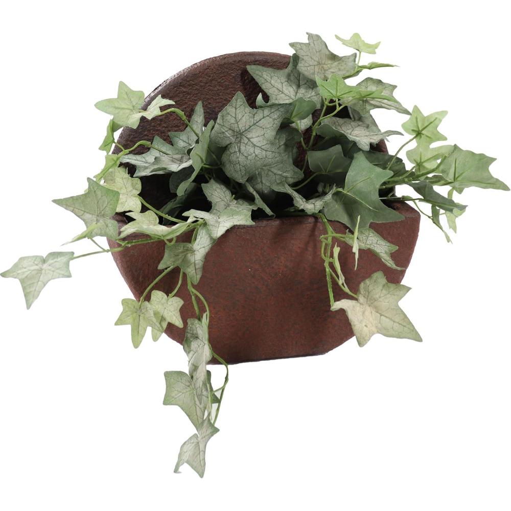 image:imageSunnydaze 12 Round Wall Planter Polyresin WallHanging Flower Pot for Indoor or Outdoor Use Dark Brown Set of 21